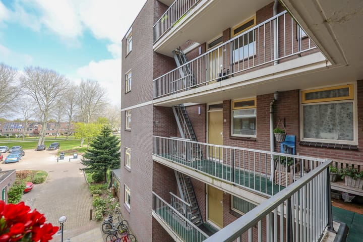 Foto 27 van Terpmeent 12