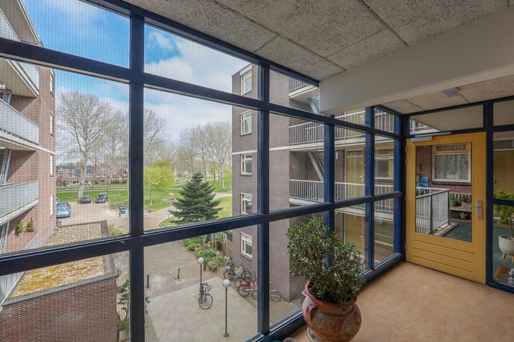 Foto 28 van Terpmeent 12