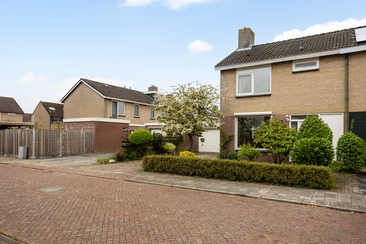 Foto 36 van De Plevier 29