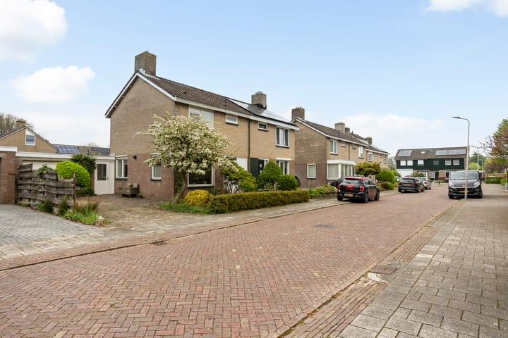 Foto 37 van De Plevier 29