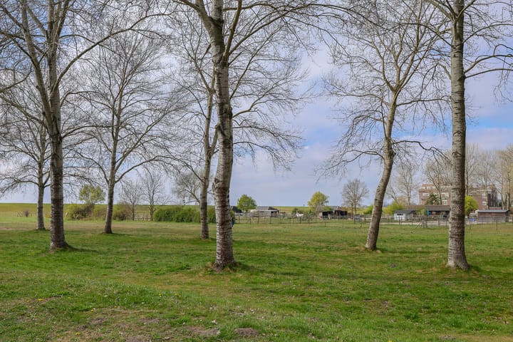 Foto 35 van Terpmeent 12