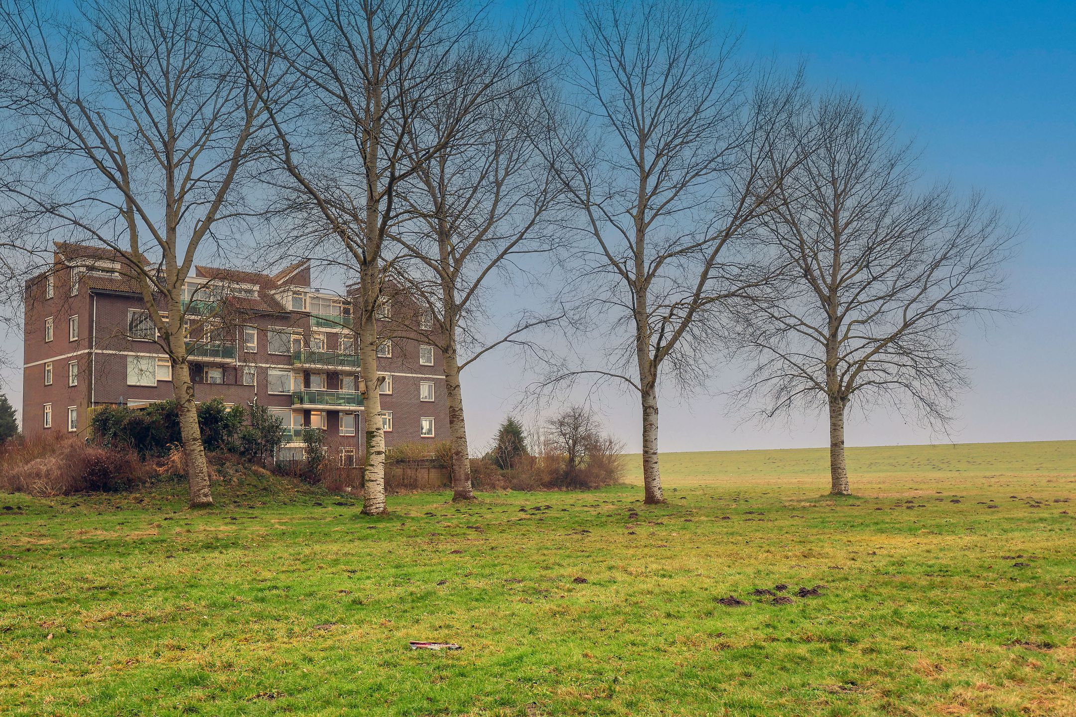 Foto 36 van Terpmeent 12