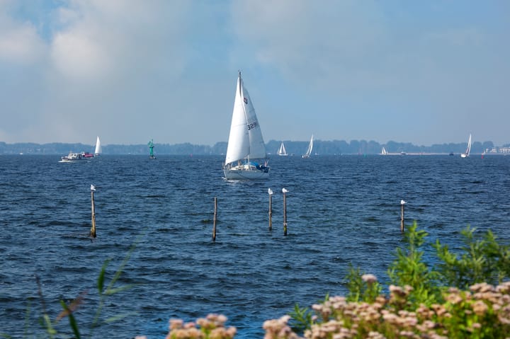 Foto 38 van Terpmeent 12