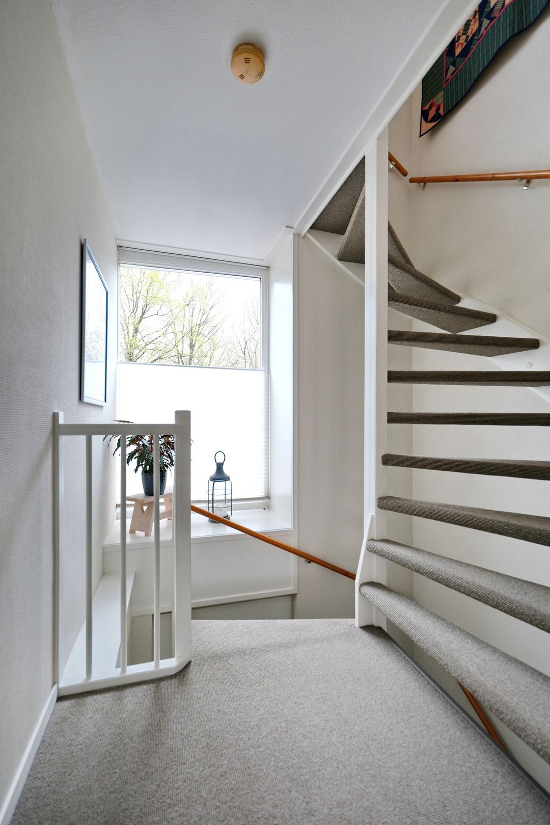 Foto 13 van Laan van Kernhem 217