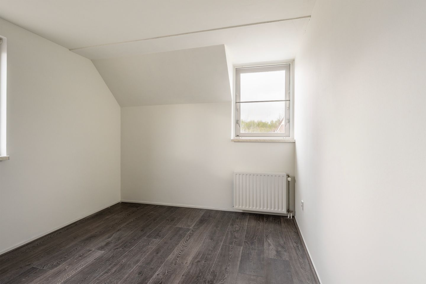 Foto 19 van Rosarium 9