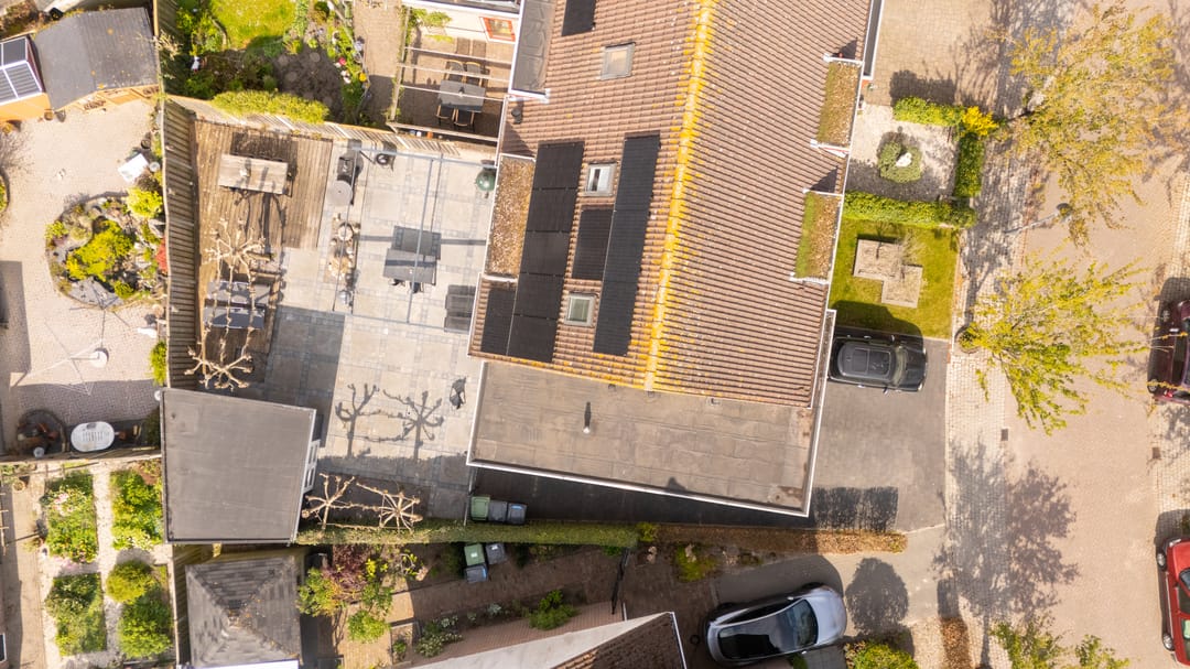 Foto 31 van Rosarium 9