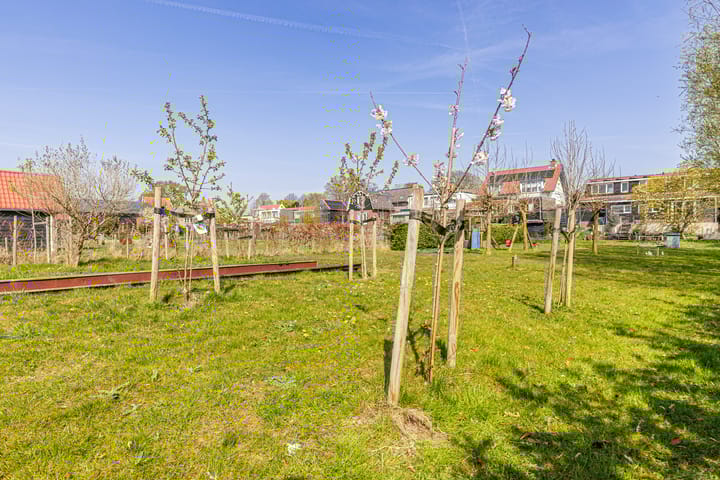 Foto 50 van Molendijk 46