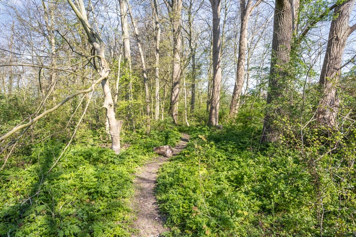 Foto 28 van Marius Bauerstraat 25