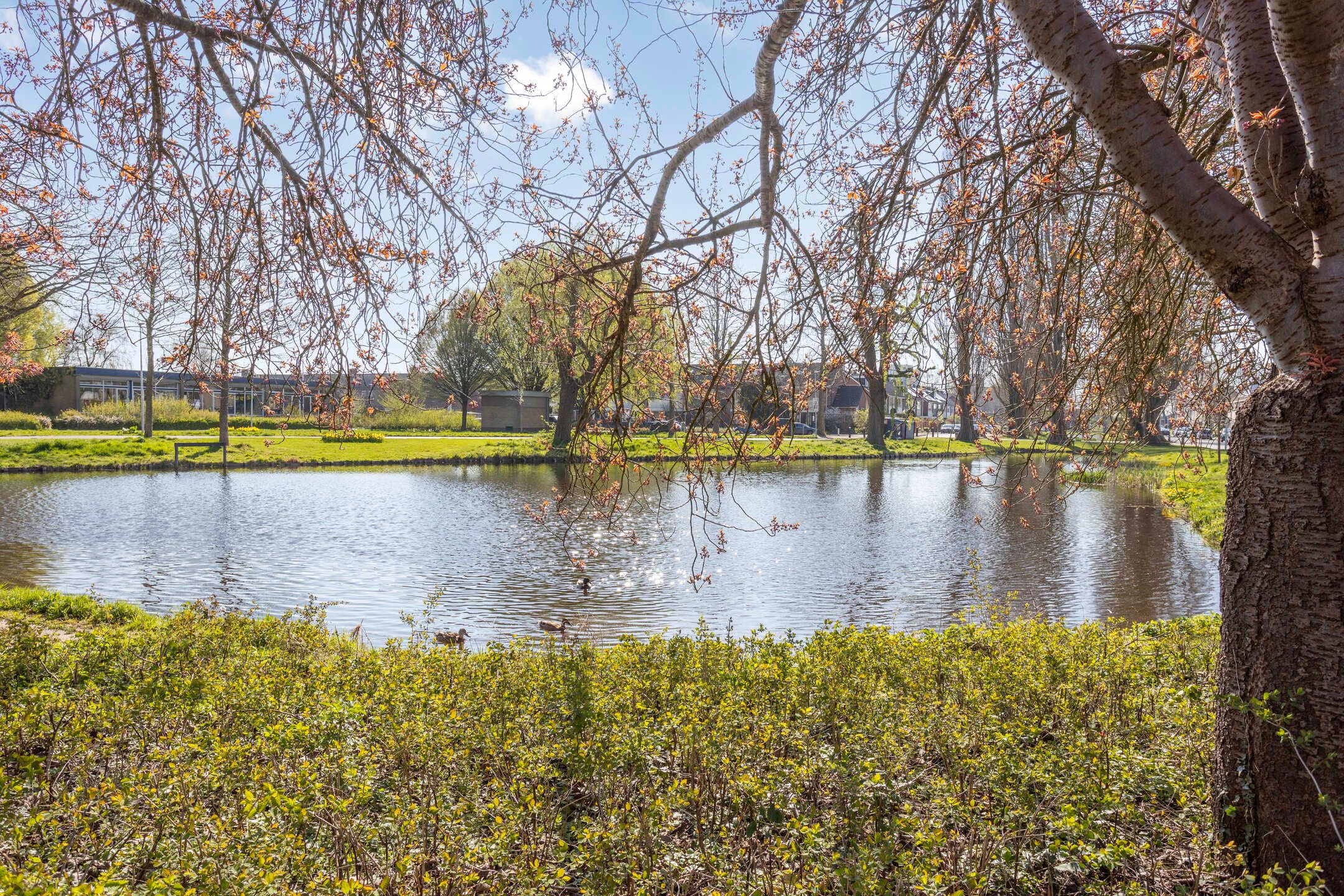 Foto 30 van Marius Bauerstraat 25