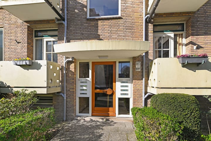 Foto 6 van De Carpentierstraat 109-B