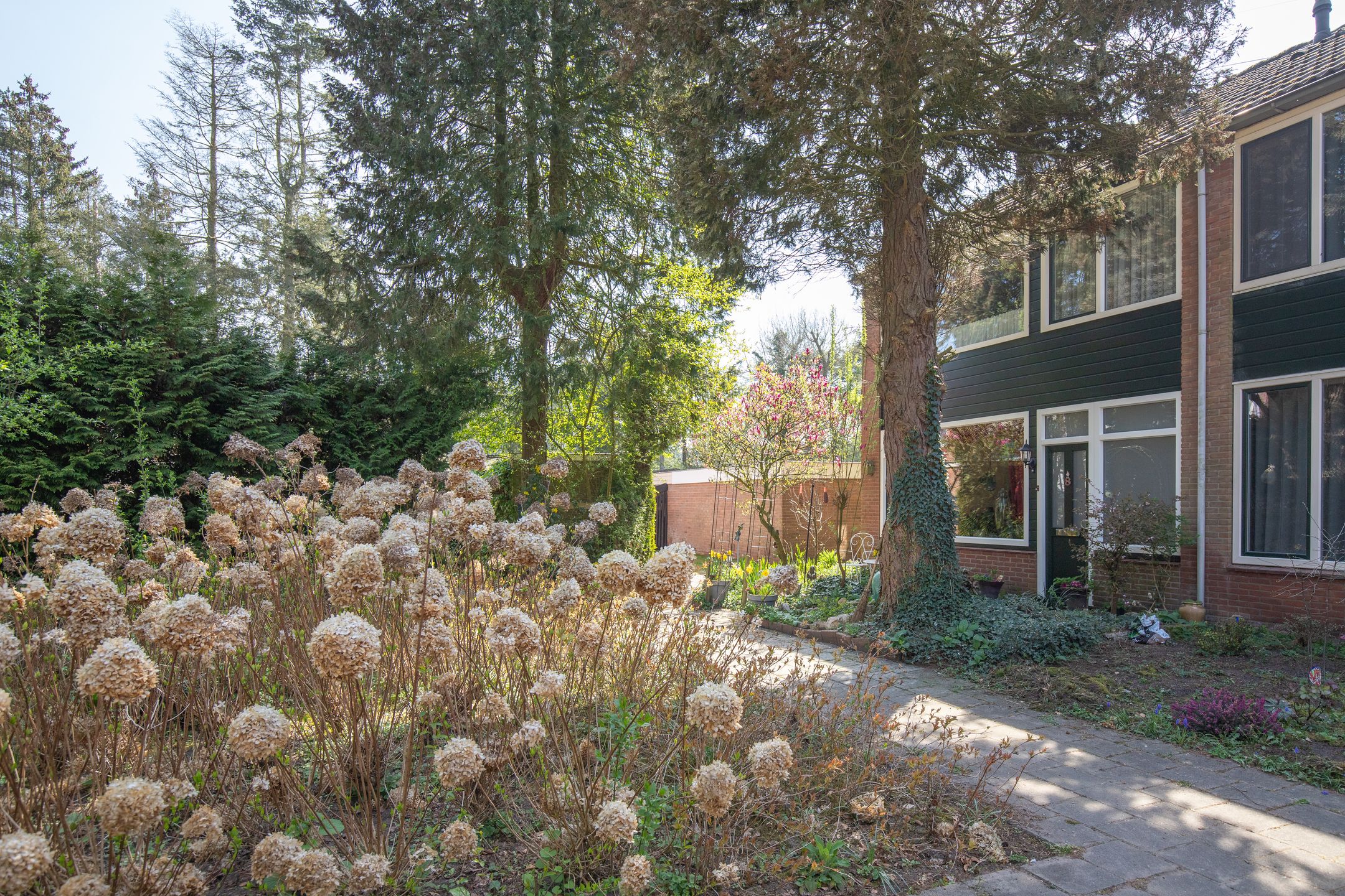 Foto 33 van Eikenlaan 8