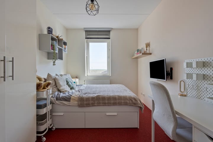 Foto 33 van Binnenkruier 124