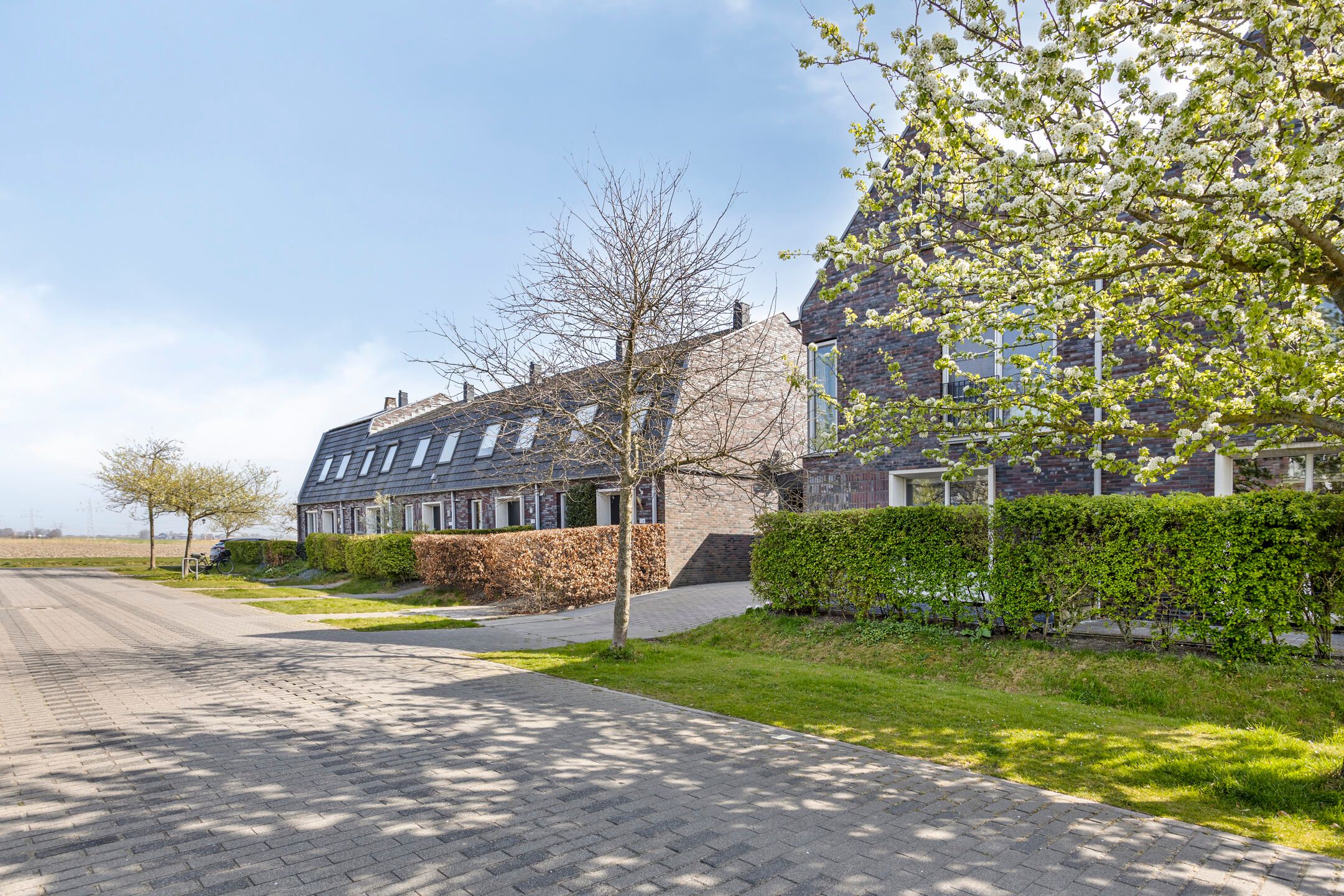 Foto 42 van Binnenkruier 124