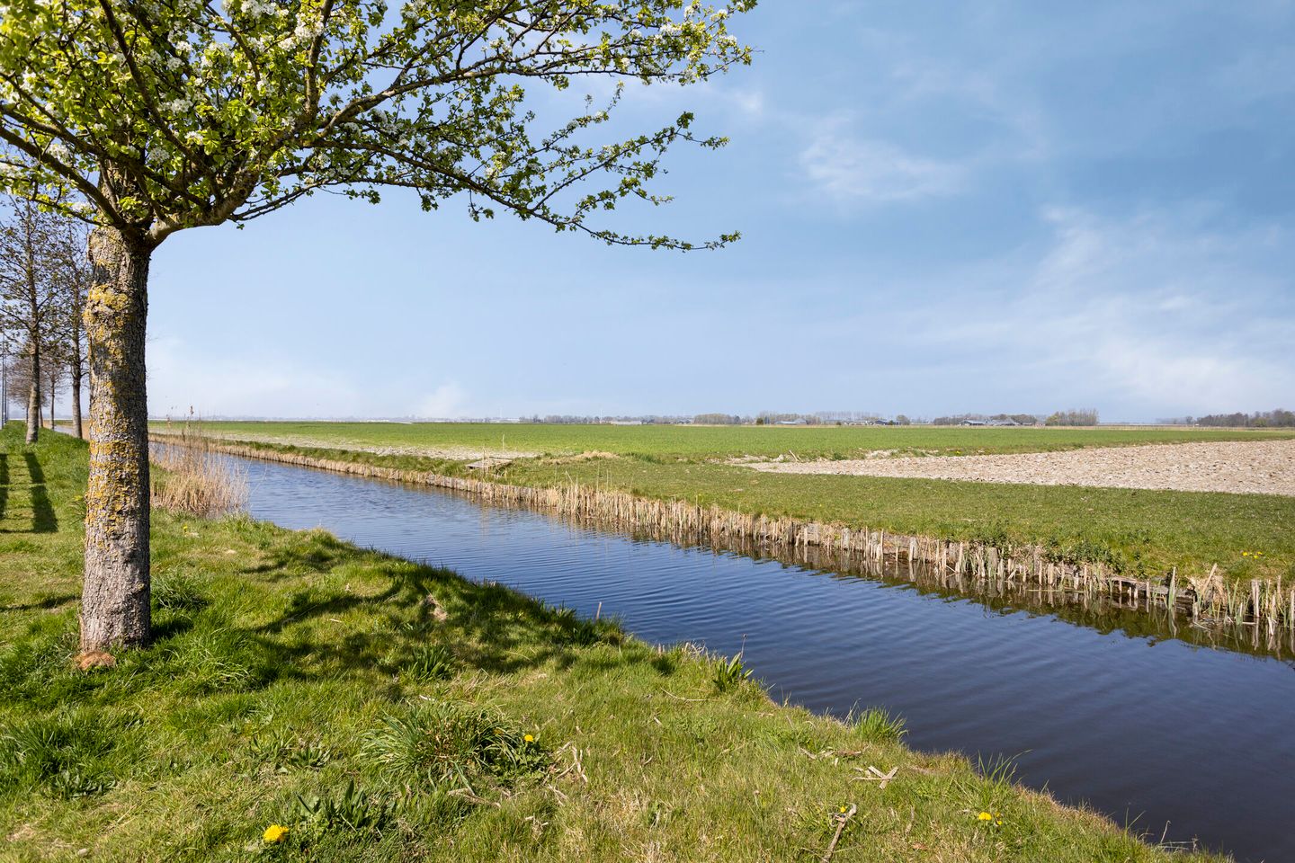 Foto 44 van Binnenkruier 124