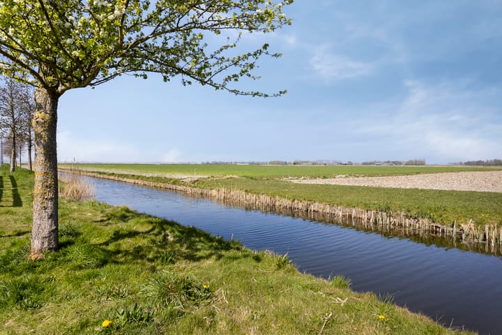 Foto 44 van Binnenkruier 124