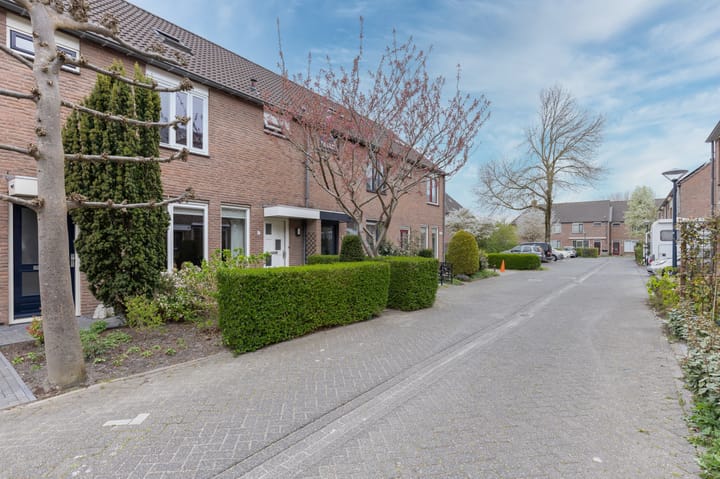 Foto 5 van Refter 42