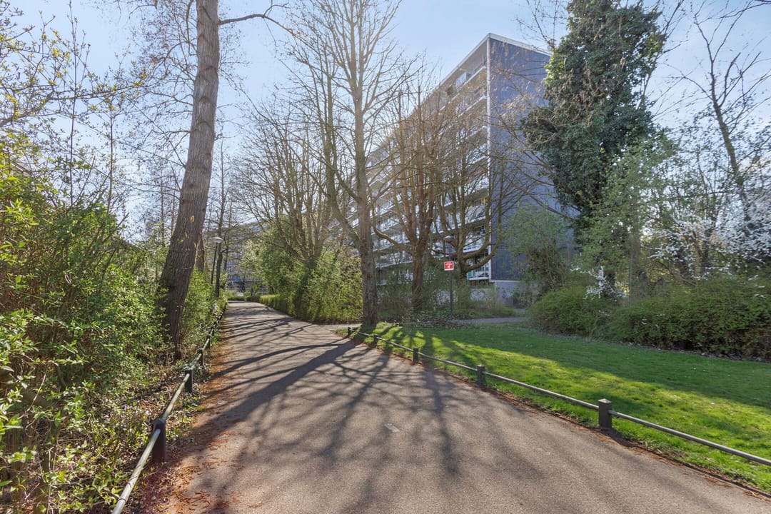 Foto 1 van Zijldonk 165