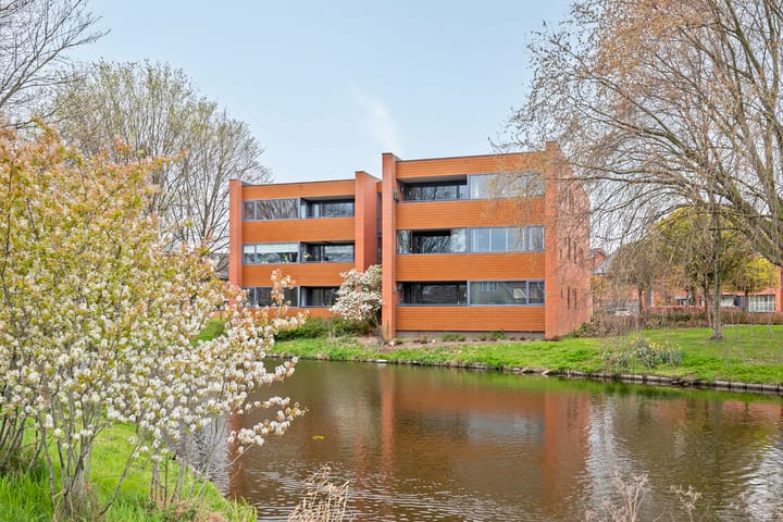 Foto 1 van Struisvaren 12