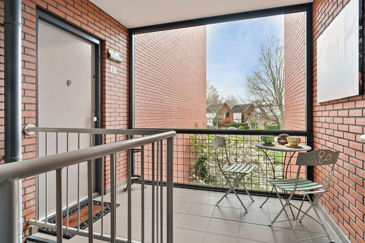 Foto 4 van Struisvaren 12