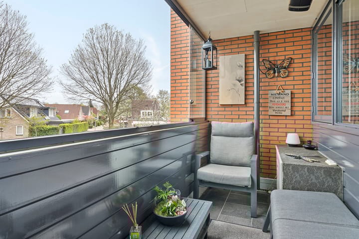 Foto 11 van Struisvaren 12