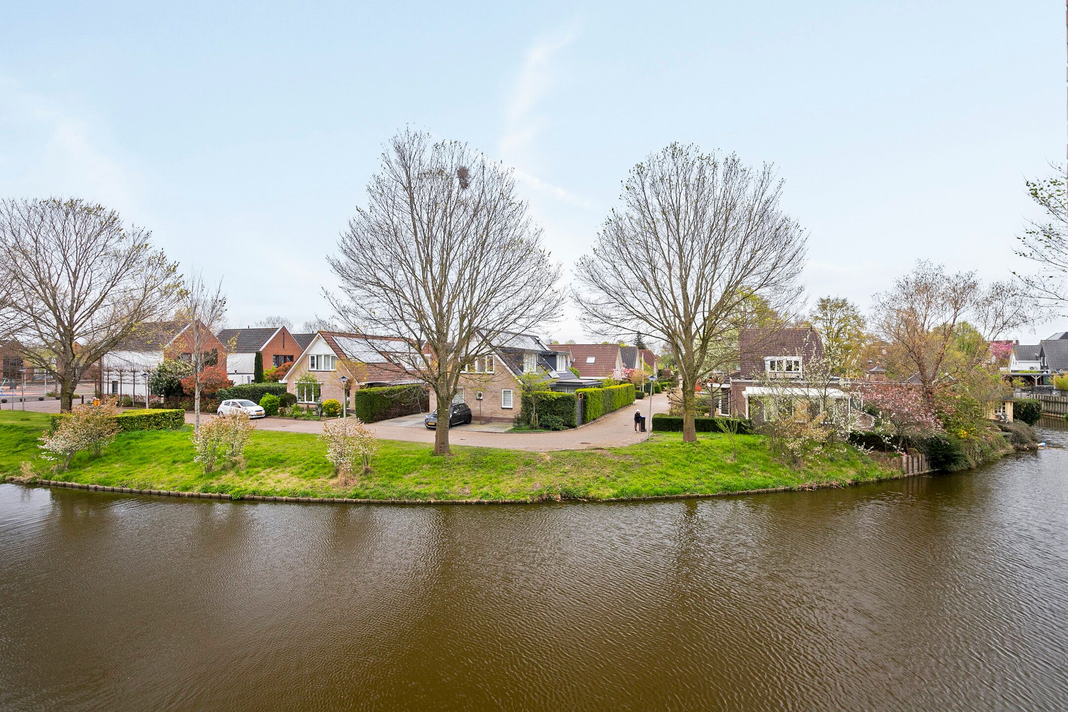 Foto 12 van Struisvaren 12