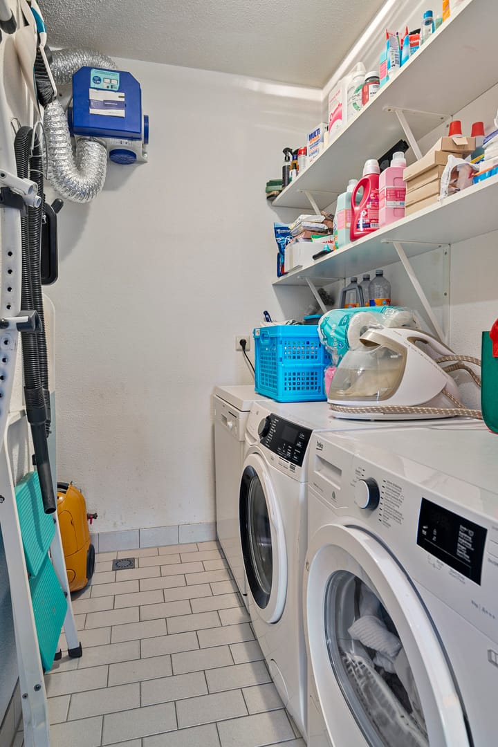 Foto 15 van Struisvaren 12