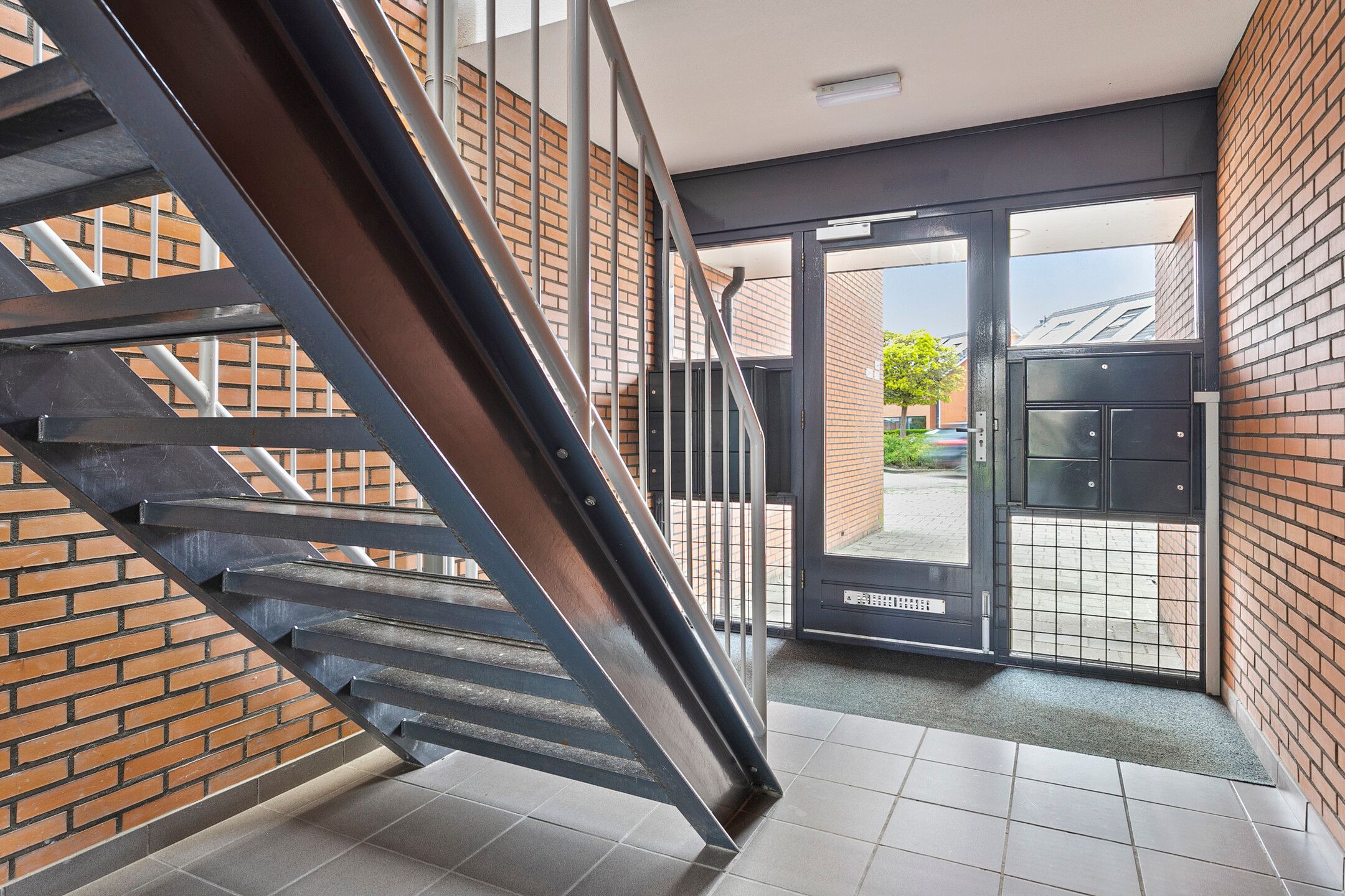 Foto 21 van Struisvaren 12