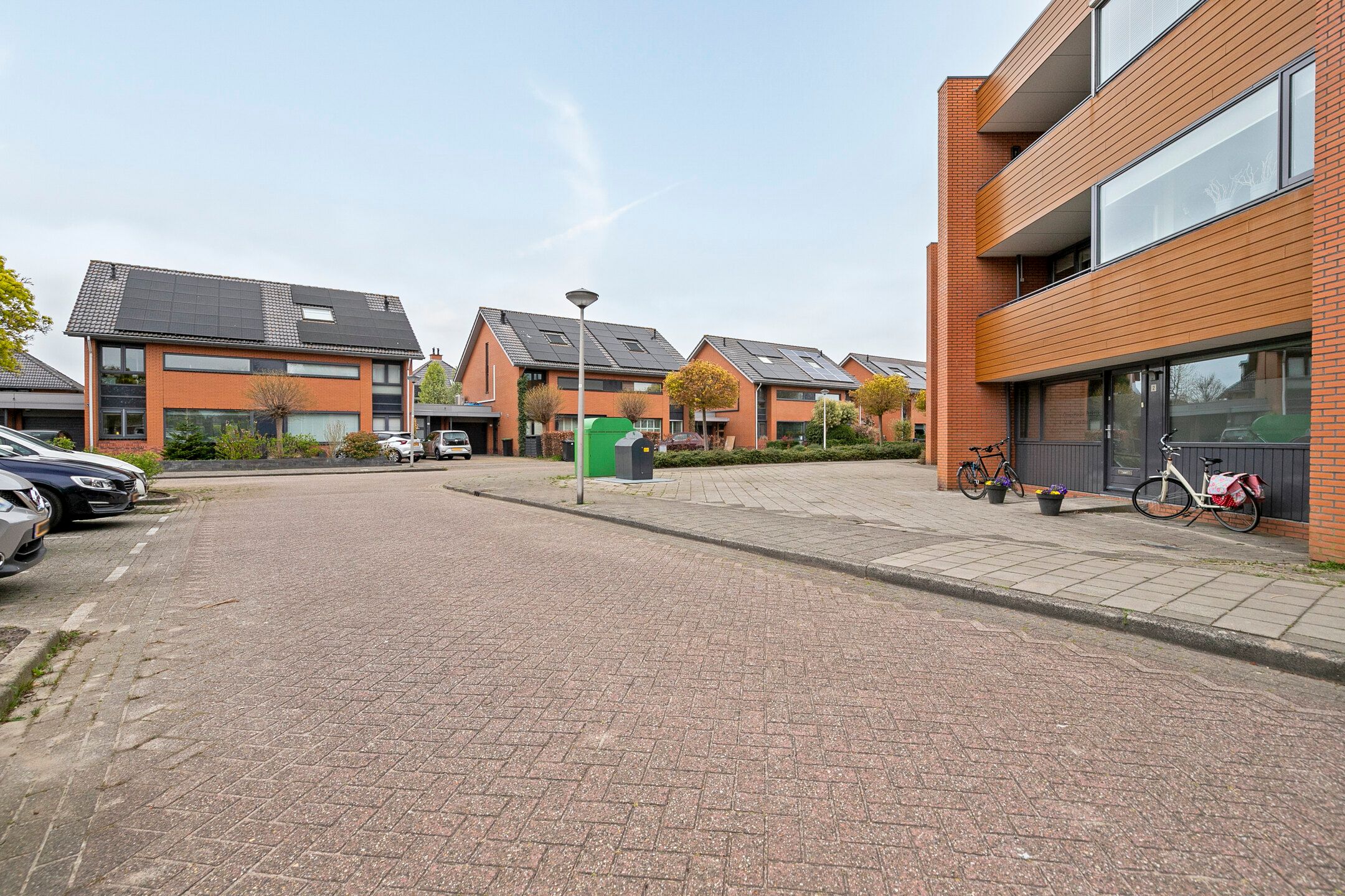 Foto 24 van Struisvaren 12