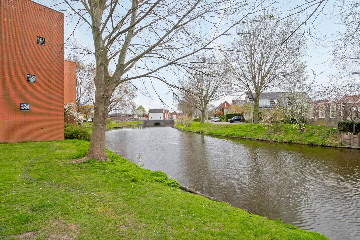 Foto 25 van Struisvaren 12