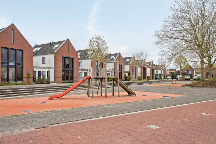 Foto 26 van Struisvaren 12