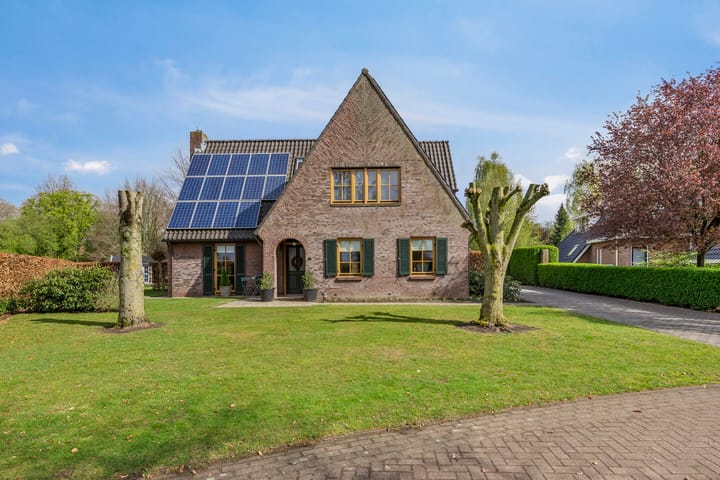 Foto 5 van De Runde 17