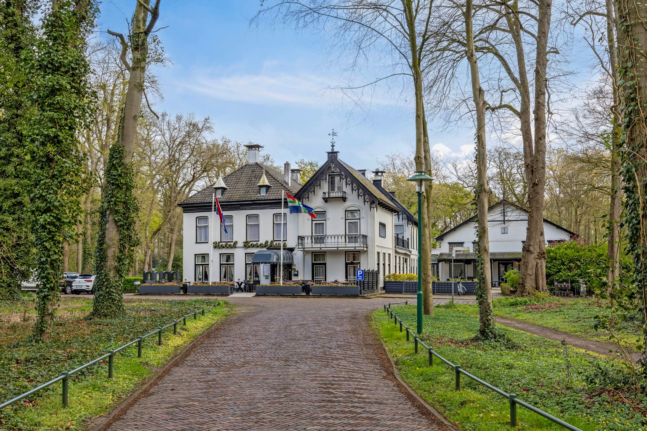 Foto 51 van De Runde 17