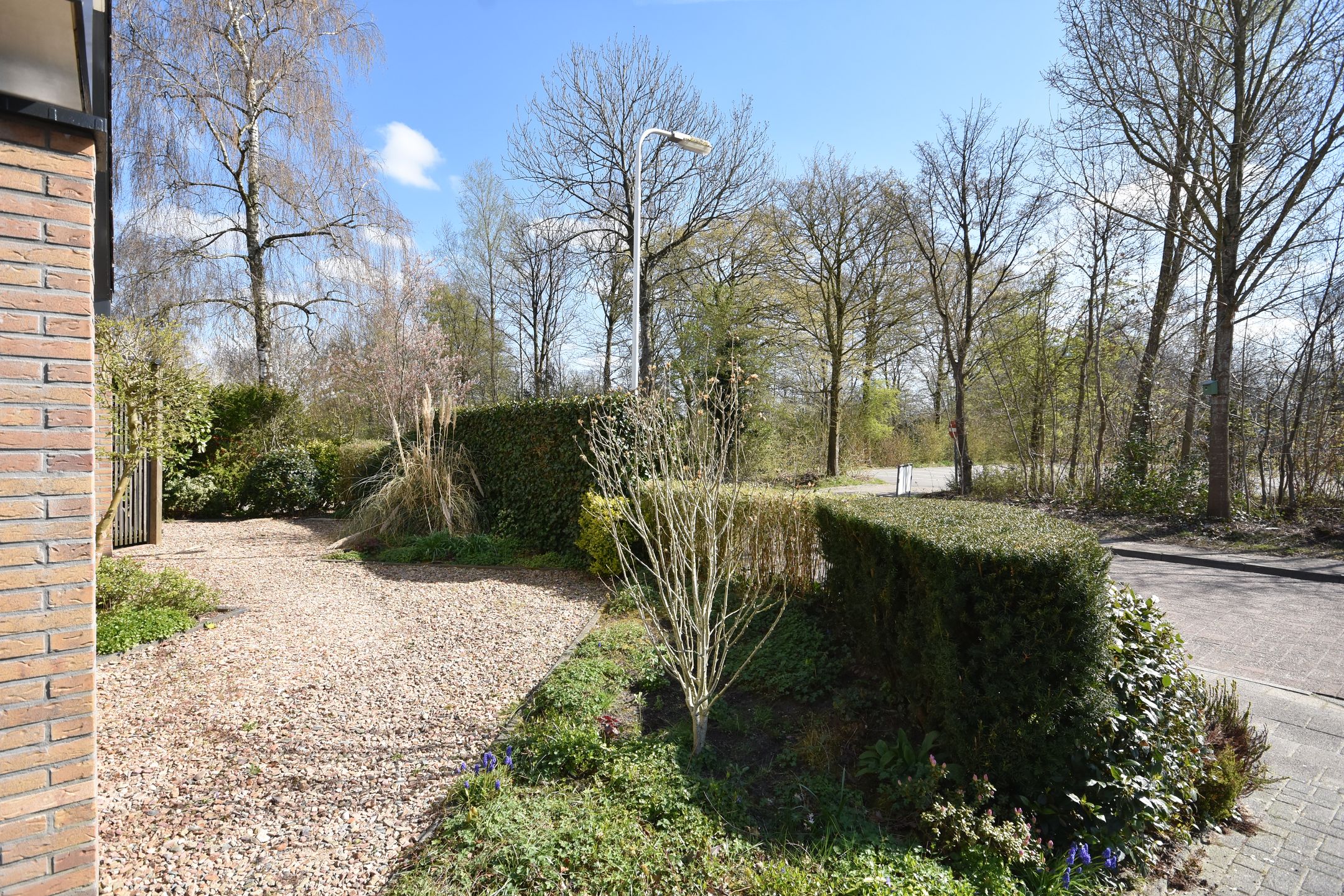 Photo 6 of Jintewarren 35