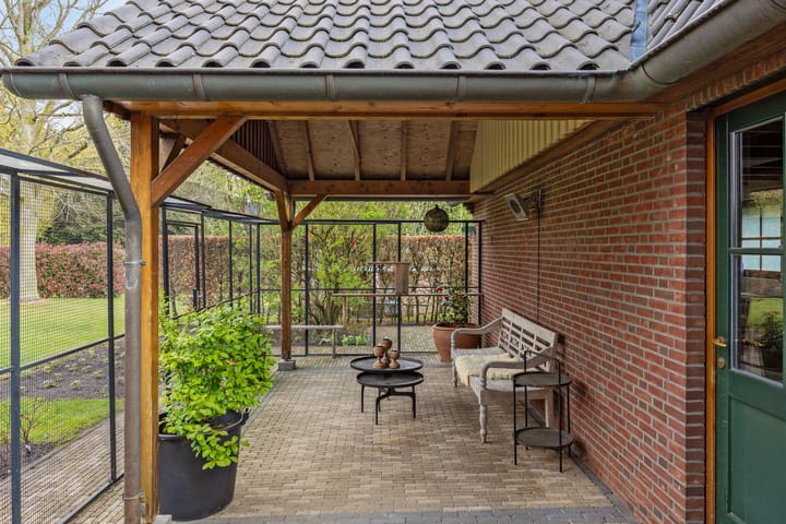 Foto 48 van De Runde 17