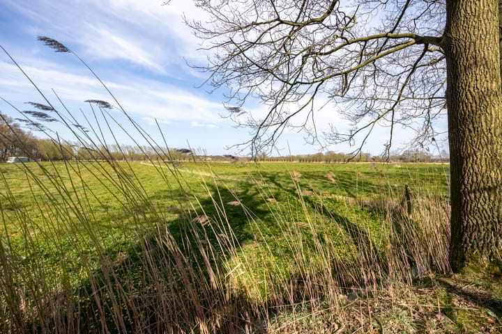 Foto 39 van Martinalaan 5