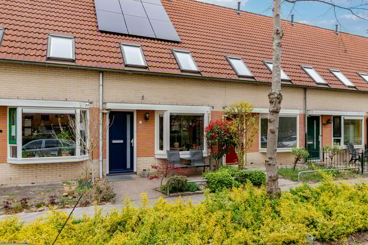 Foto 37 van Darja Collinstraat 7