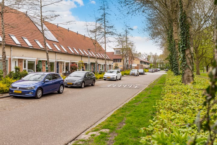 Foto 38 van Darja Collinstraat 7