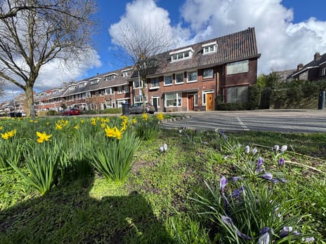 undefined main image