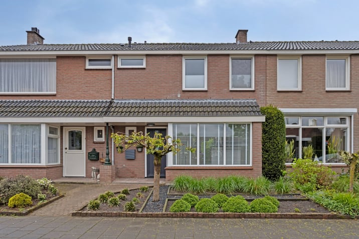 undefined main image