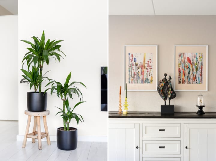 Photo 8 of Jozef Israelslaan 65