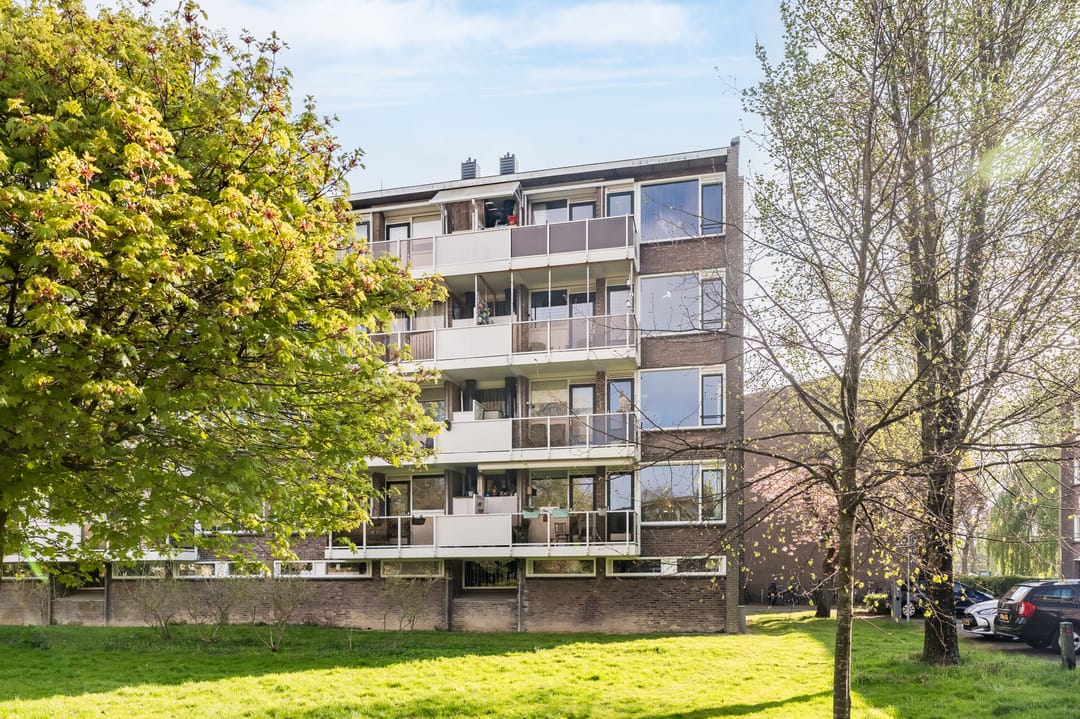 Foto 1 van Julianaplantsoen 238