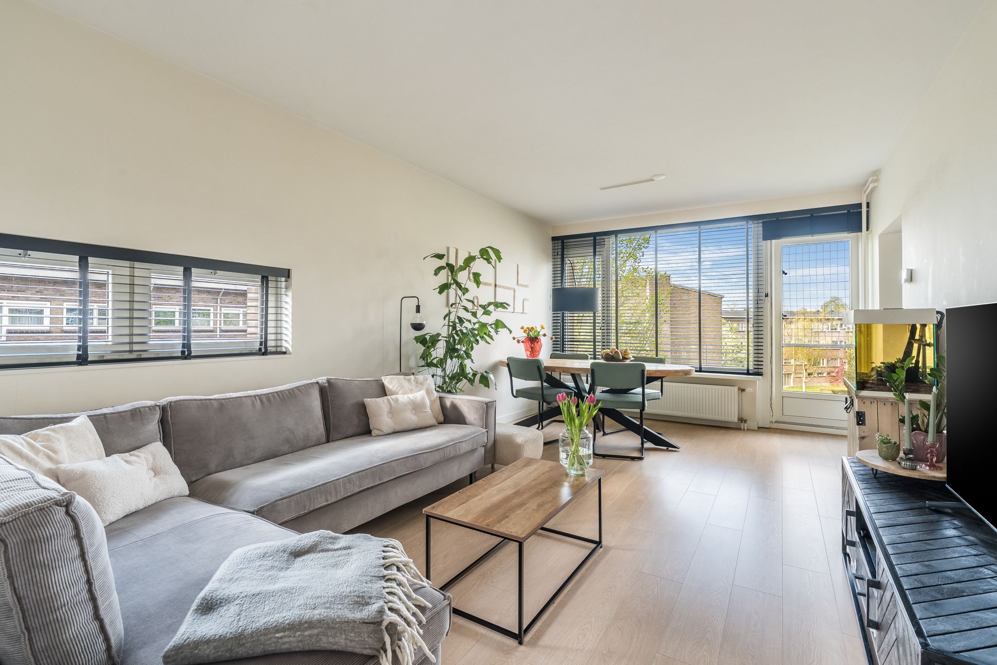 Foto 3 van Julianaplantsoen 238