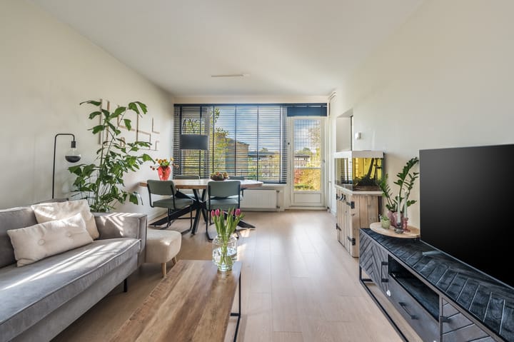 Foto 7 van Julianaplantsoen 238