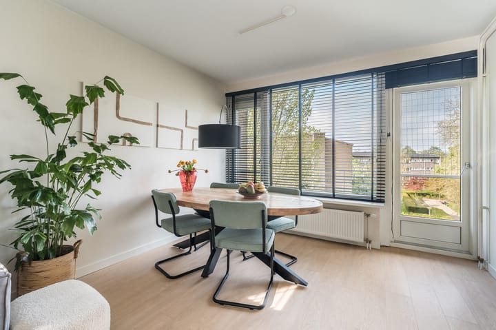 Foto 10 van Julianaplantsoen 238