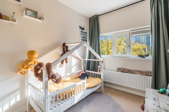 Foto 27 van Julianaplantsoen 238