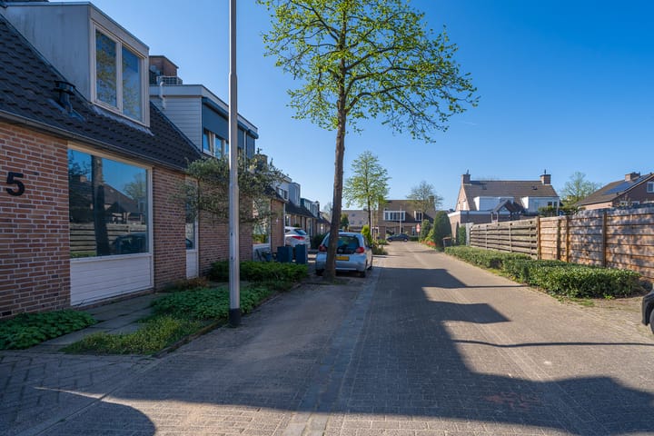 Foto 6 van Koekoeksbloem 3