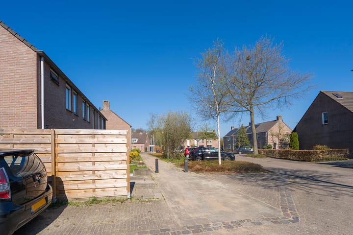 Foto 7 van Koekoeksbloem 3