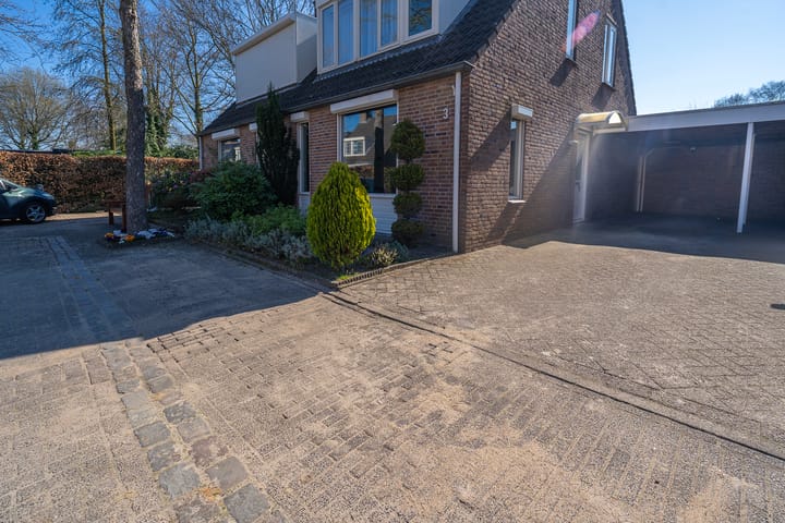 Foto 8 van Koekoeksbloem 3