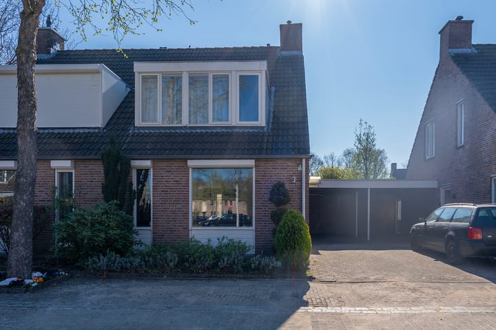 Foto 9 van Koekoeksbloem 3