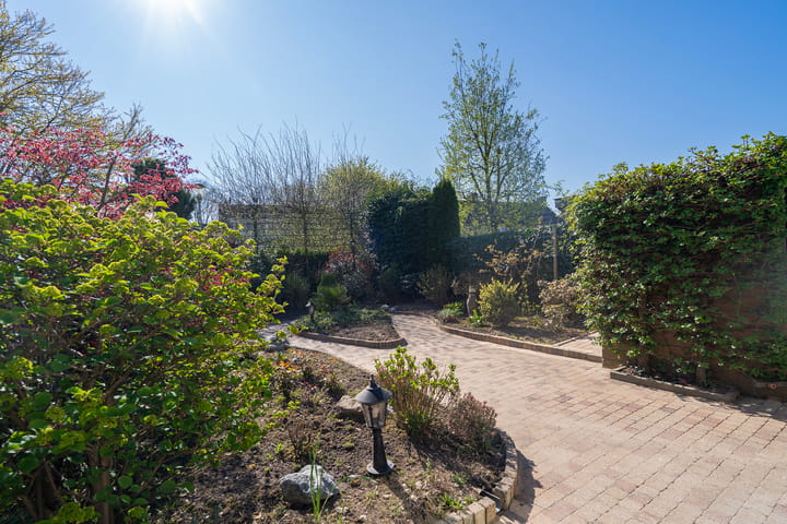 Foto 34 van Koekoeksbloem 3